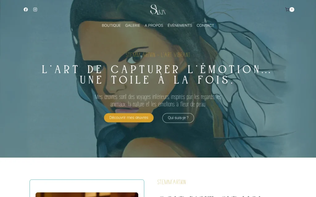 Page d'accueil du site Stemm'Artkin sur ordinateur, réalisé par iDS WEB